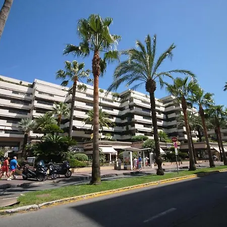 Gray D'albion Jam529 Cannes